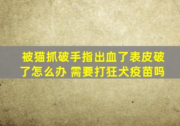 被猫抓破手指出血了表皮破了怎么办 需要打狂犬疫苗吗